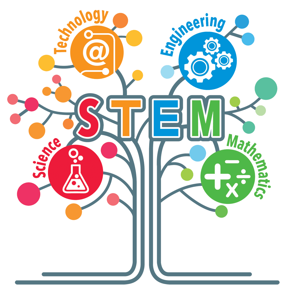 STEM Week Nant Y Parc Primary School